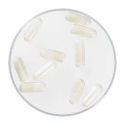 Kryolan Foam Capsules -Cosmetics Store 04047 00 prod4 default 960