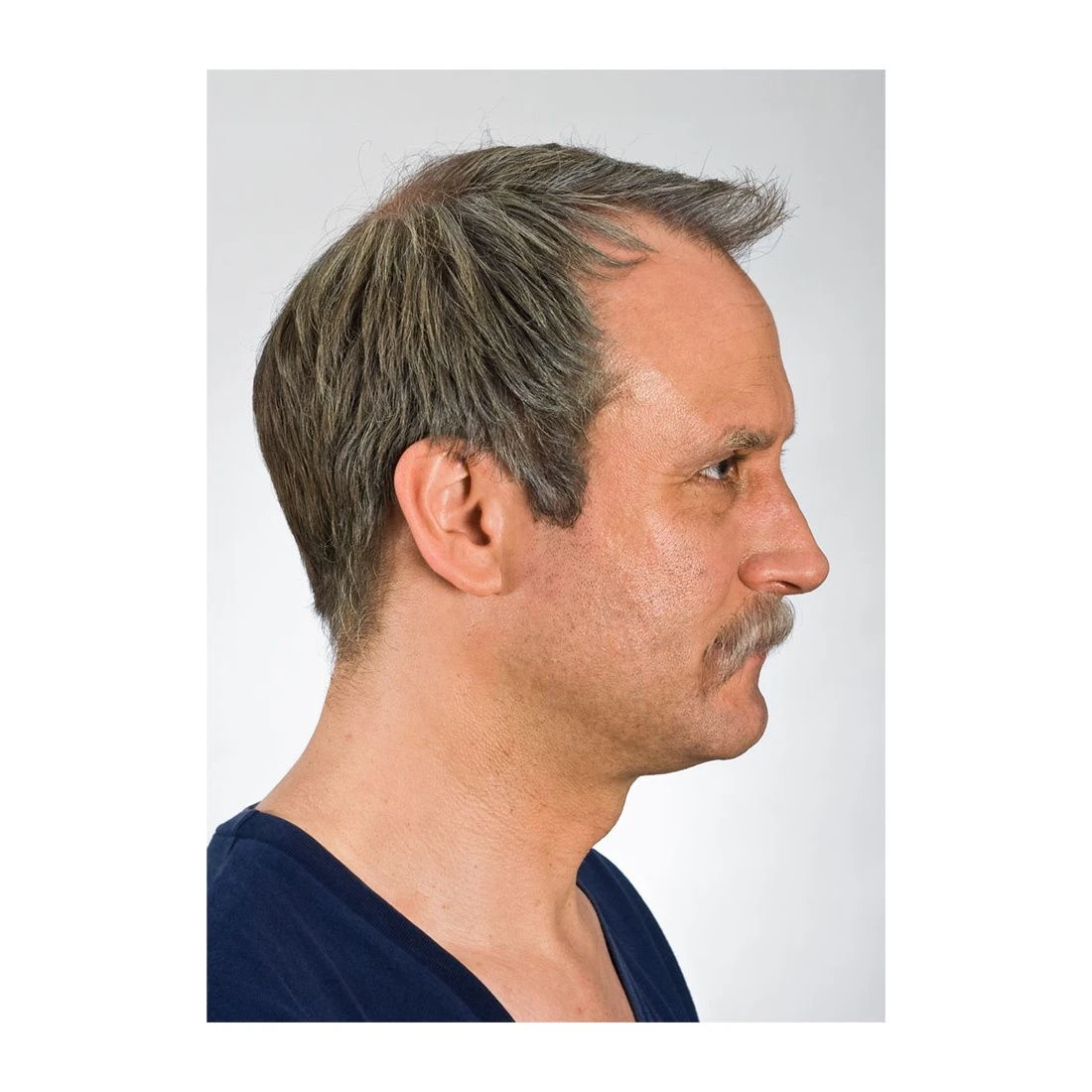 Walrus Moustache 5 Walrus Moustache - Image 3