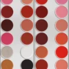 Kryolan Lipstick Palette 24 2 Kryolan Lipstick Palette 24 -Cosmetics Store 1208