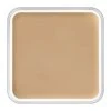 Kryolan HD Micro Foundation Cache -Cosmetics Store 19011 00 prod 320 960