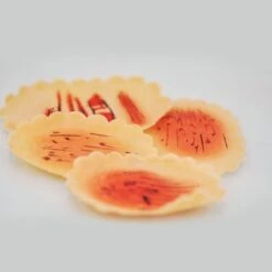 Kry. Latex Scratch Wound 3pcs